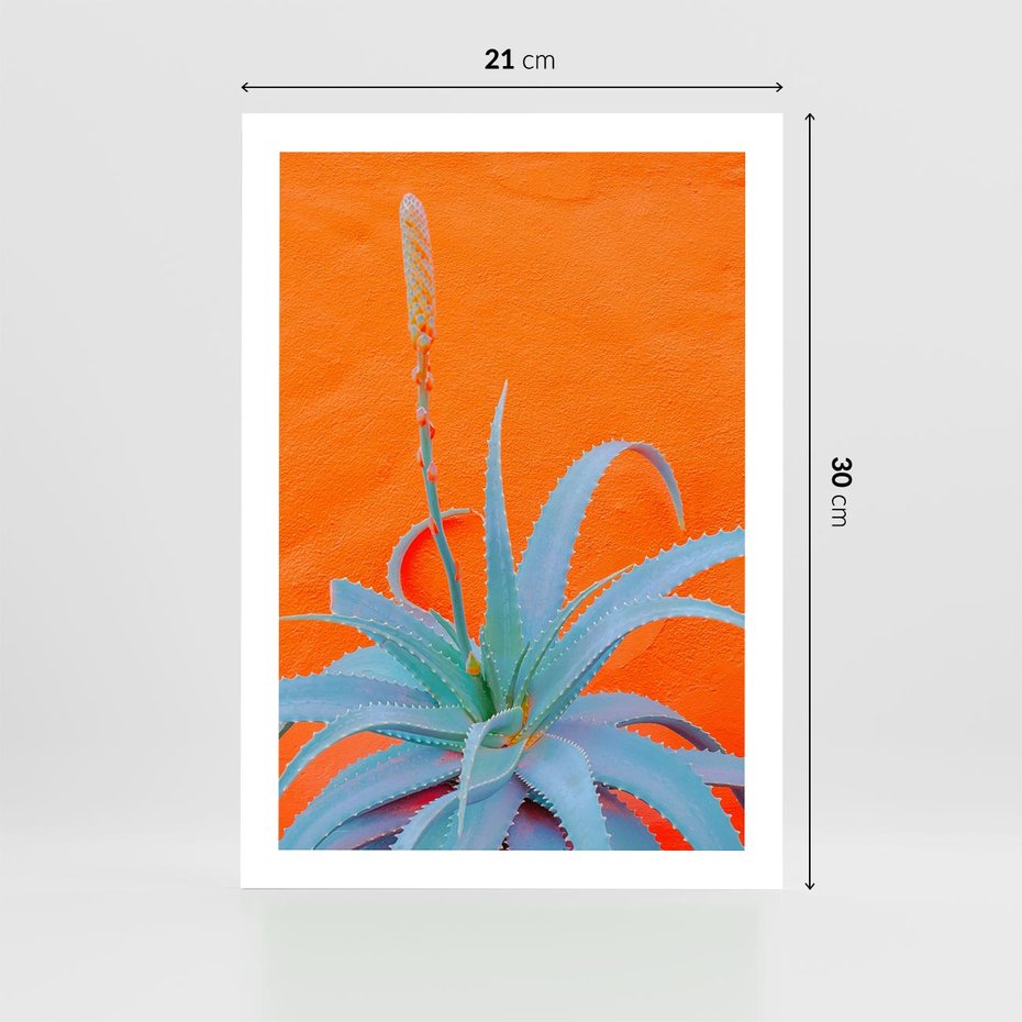 Plakat bez ramy 21x30 - Naturalna Harmonia - kaktusy, liście