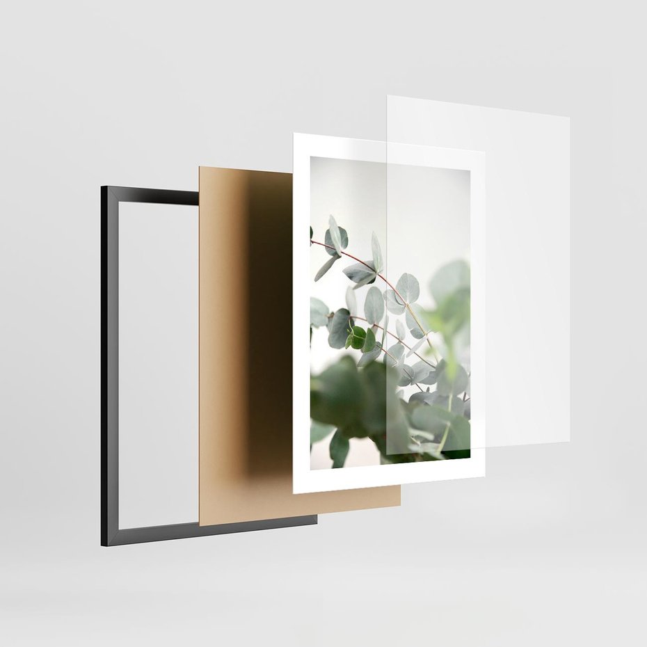 Plakat w ramie 30x40 - Zielony Świat Eukaliptusa - eukaliptus, fotografia - rama czarna
