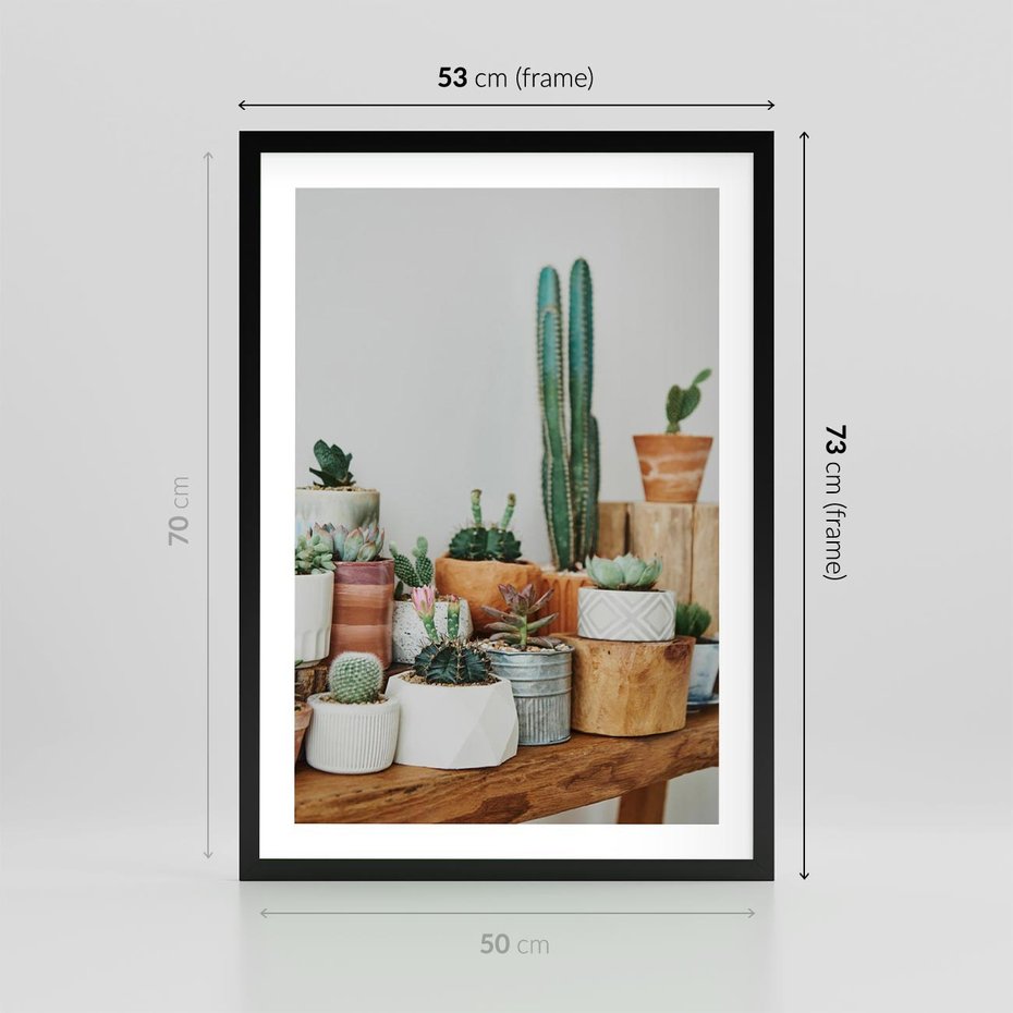 Plakat w ramie 50x70 - Kaktusowa Galeria w Doniczkach - kaktusy w doniczkach, fotografia - rama czarna