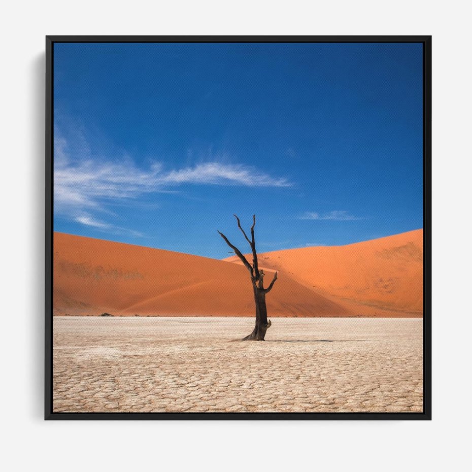 Obraz w ramie 50x50 - Słońce i Suche Drzewo - pustynia, suche - rama czarna