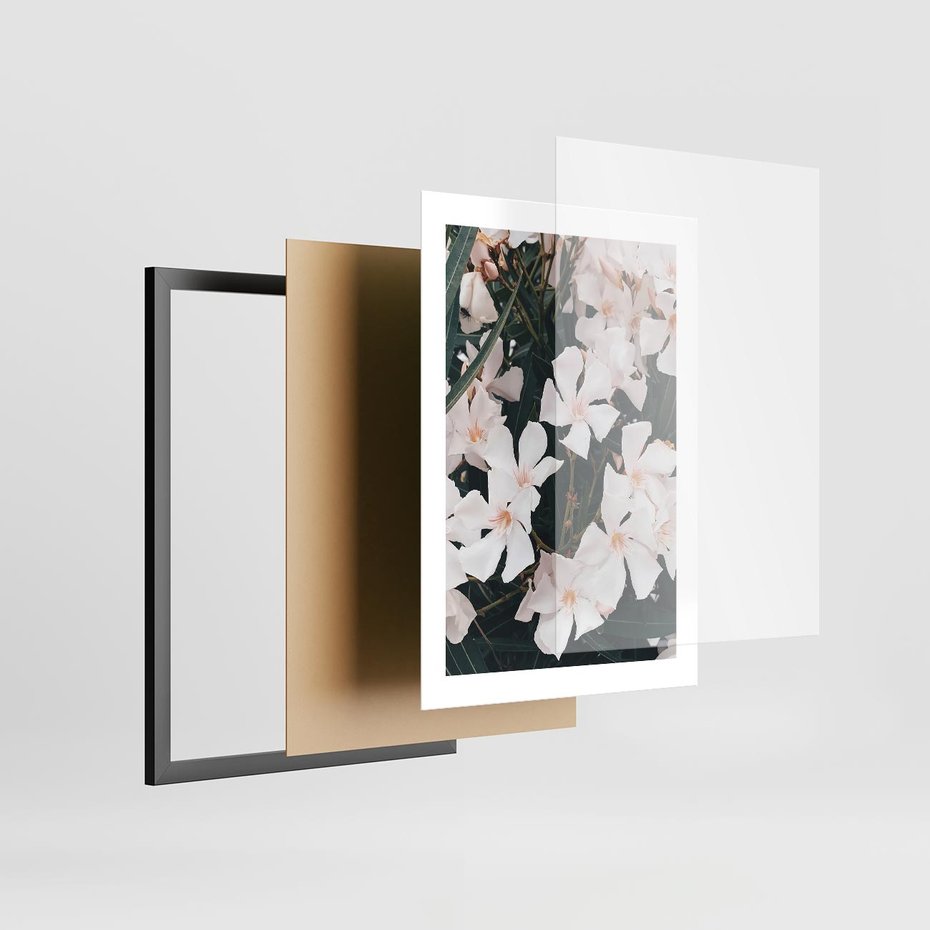 Plakat w ramie 30x40 - Egzotyczna Uroda - białe kwiaty, tropikalne kwiaty - rama czarna