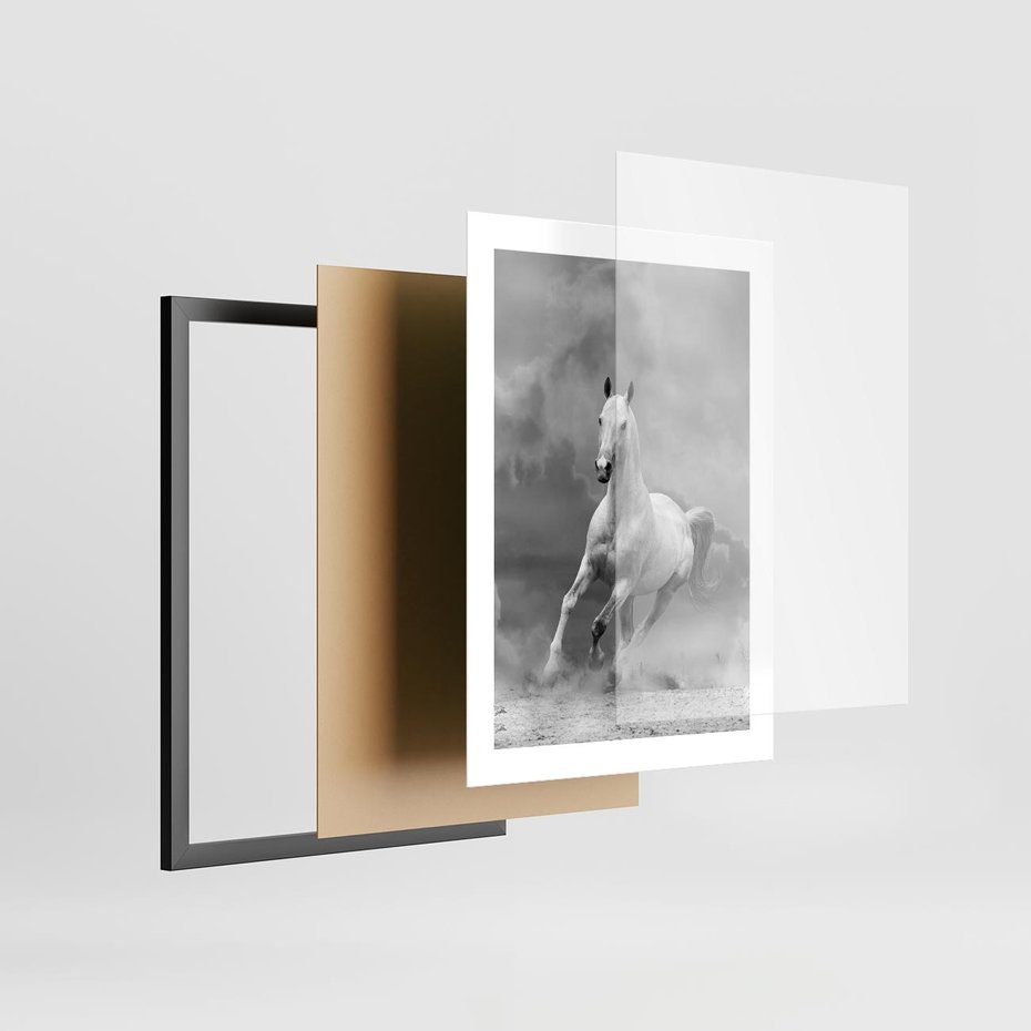 Plakat w ramie 30x40 - Elegancja w Czarno-Białym - koń, biało - rama czarna
