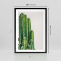 Plakat w ramie 50x70 - Minimalistyczne Kaktusy na Białym Tle - kaktusy, minimalistyczna fotografia - rama czarna