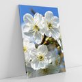 Obraz na płótnie 50x70 - Kwiatowa harmonia natury - kwiat, kwiaty