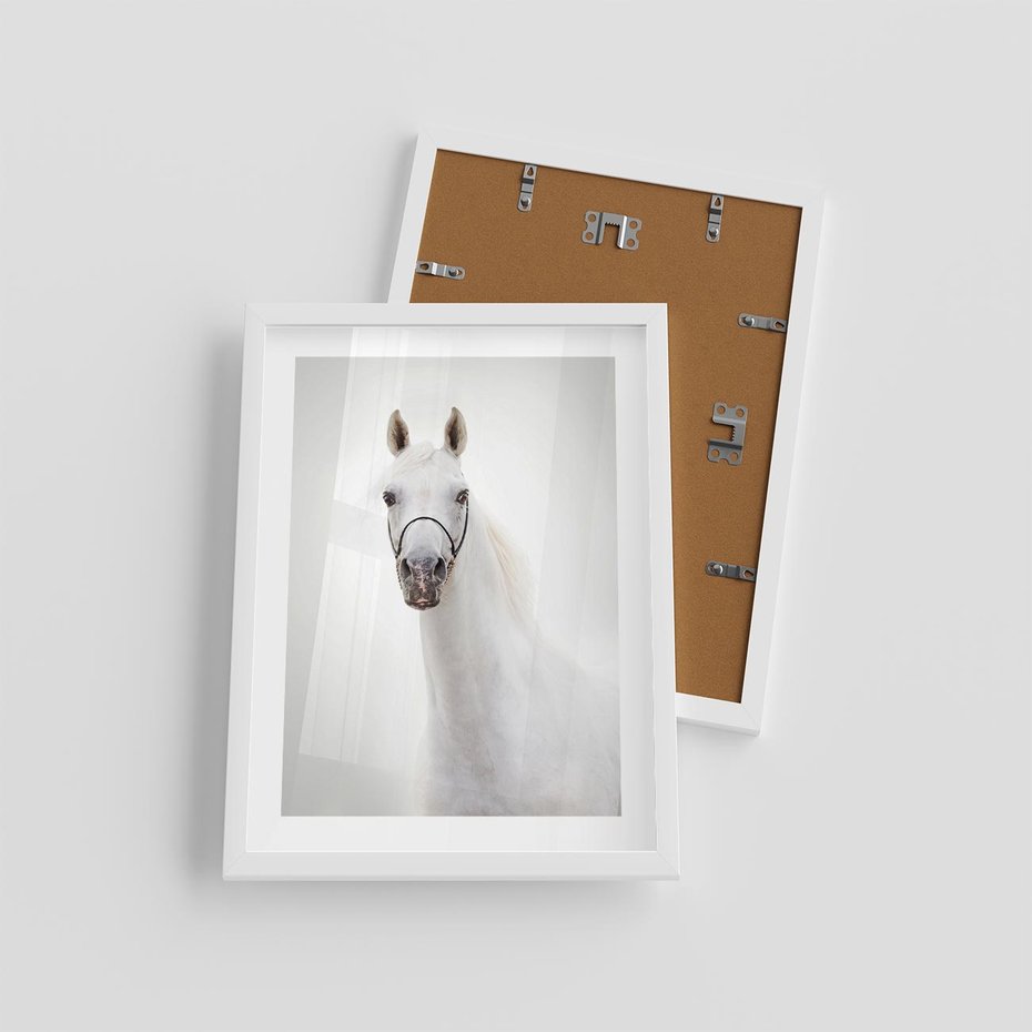 Plakat w ramie 30x40 - Elegancja białego konia - biały, koń - rama biała