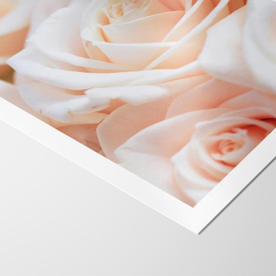 Plakat bez ramy 30x40 - Aromatyczna Piękność - płatki herbacianej róży, kwiaty