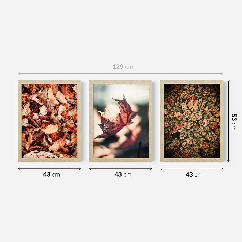 Zestaw obrazy w ramie 40x50 galeria - Jesienny, las, liście - rama drewno
