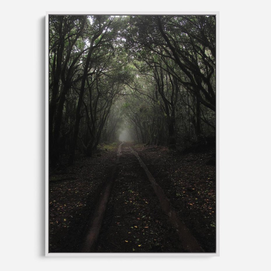 Obraz w ramie 50x70 - Urok Drogi - las, droga - rama biała