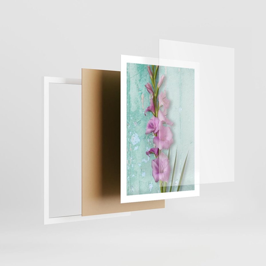 Plakat w ramie 50x70 - Piękno w delikatności - kwiaty, różowe - rama biała