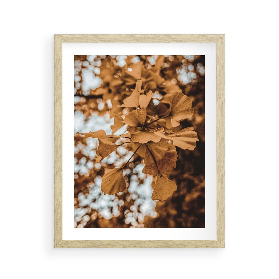 Plakat w ramie 40x50 - Nostalgiczny Miłorząb - miłorząb, liście - rama drewno