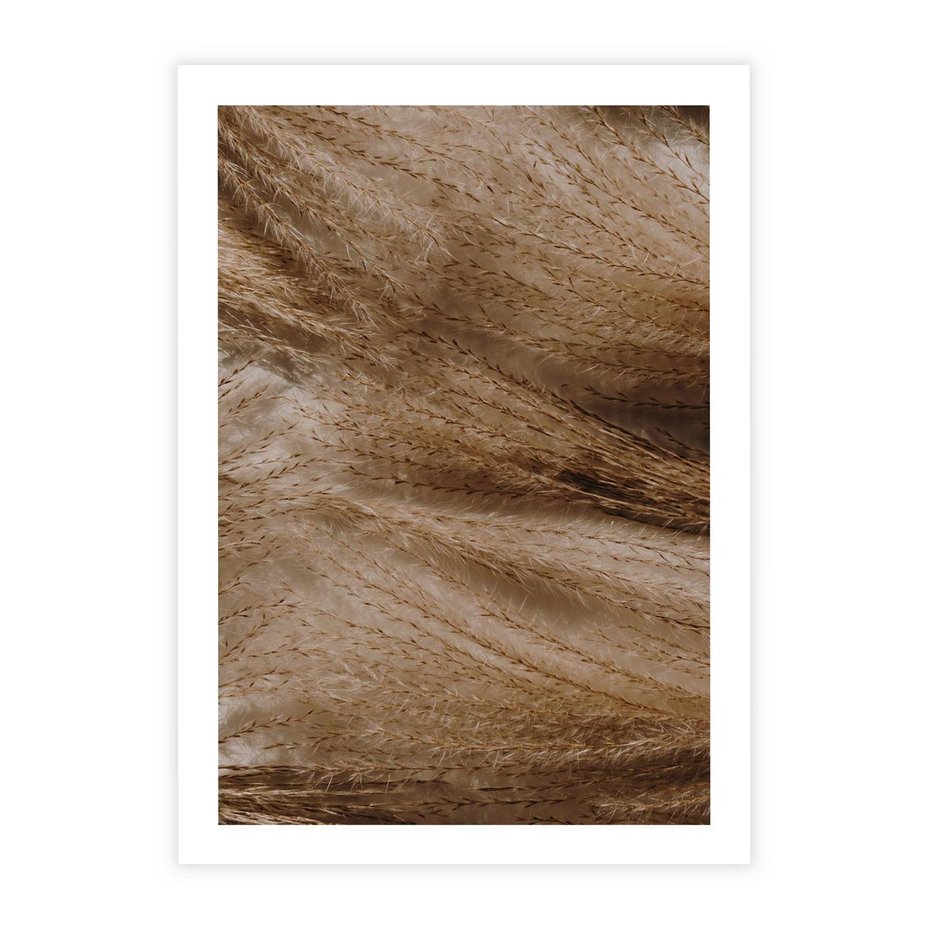 Plakat bez ramy 21x30 - Pampasowy Brąz - suche trawy, trawa pampasowa