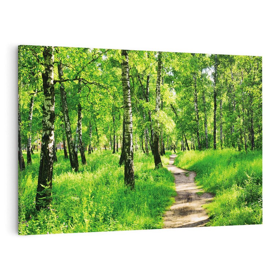 Obraz na płótnie 100x70 - odkryj piękno drzew - las, drzewa