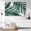 Obraz na płótnie 70x50 - Ruchome liście czasu - liście palmy, tropikalne
