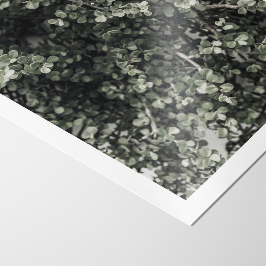 Plakat bez ramy 30x40 - Jasnozielone Liście i Gałązki - liście, gałązki