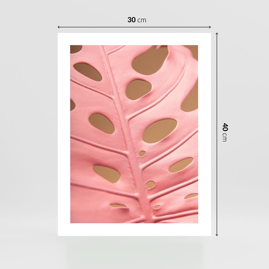 Plakat bez ramy 30x40 - Różowa monstera w pełnym rozkwicie - różowa, monstera