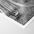 Plakat bez ramy 21x30 - Spadające Liście - czarno białe zdjecie, park