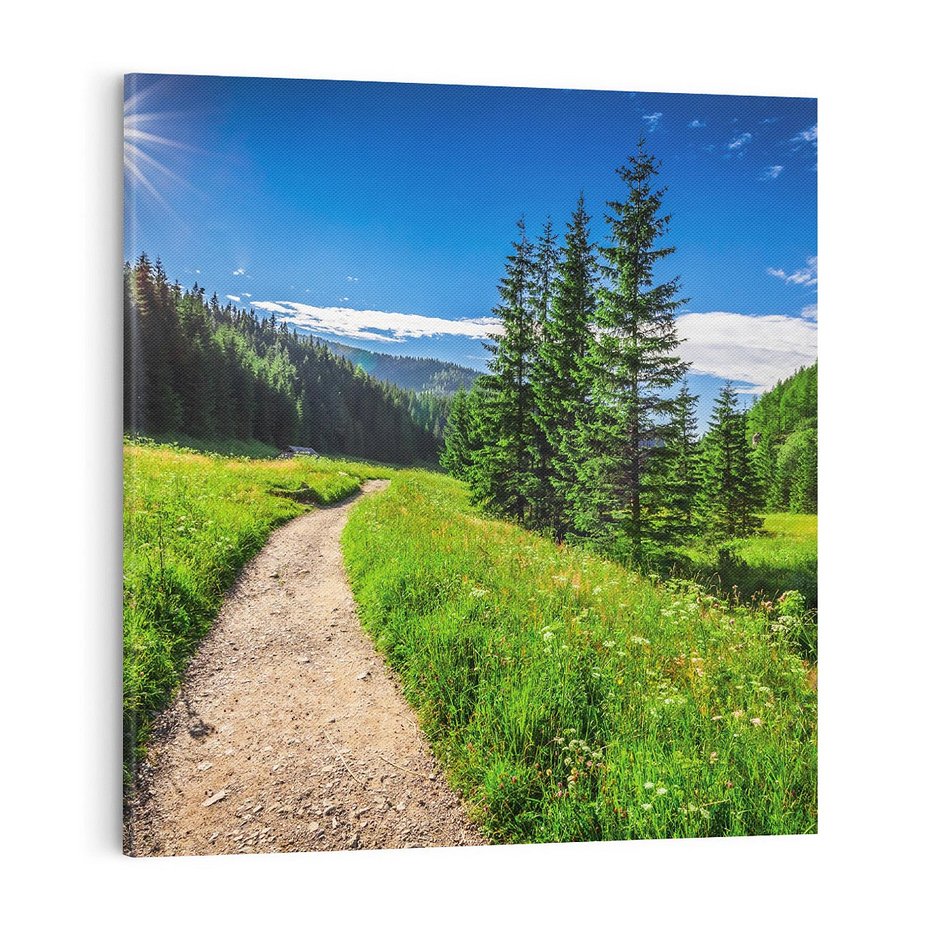 Obraz na płótnie 70x70 - Harmonia natury - góry, łąka