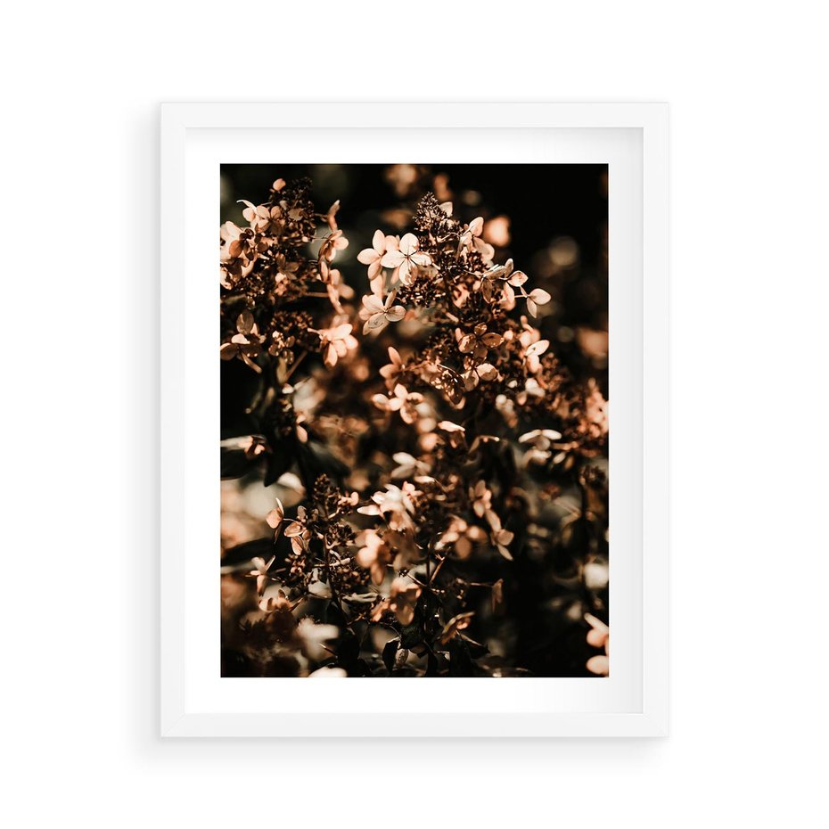 Plakat w ramie 40x50 - Sucha Kompozycja Kwiatów - suche kwiaty hortensji - rama biała