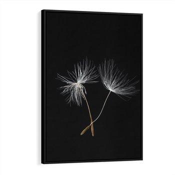 Obraz w ramie 50x70 - Delikatność Wiatru - dmuchawce, makro - rama czarna