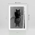 Plakat w ramie 50x70 - Kocie Oczy - kot, czarno białe zdjęcie - rama biała