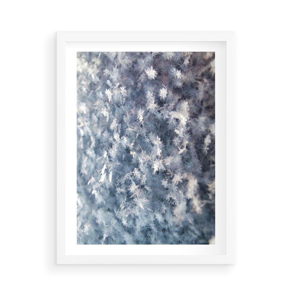 Plakat w ramie 50x70 - Magia Śnieżnych Kryształków - śnieg, szron - rama biała