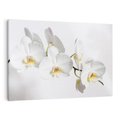 Obraz na płótnie 100x70 - Orchidea Kwiat - orchidea, kwiat
