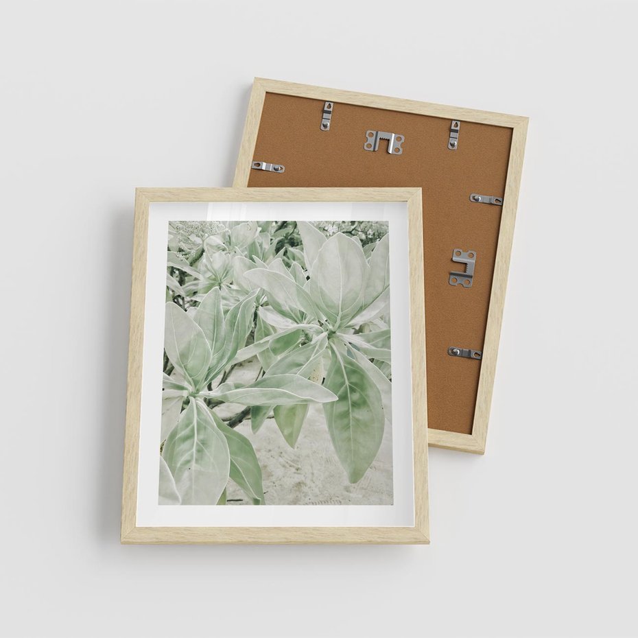 Plakat w ramie 40x50 - Jasnozielone Liście w Kompozycji - liście, jasna zieleń - rama drewno