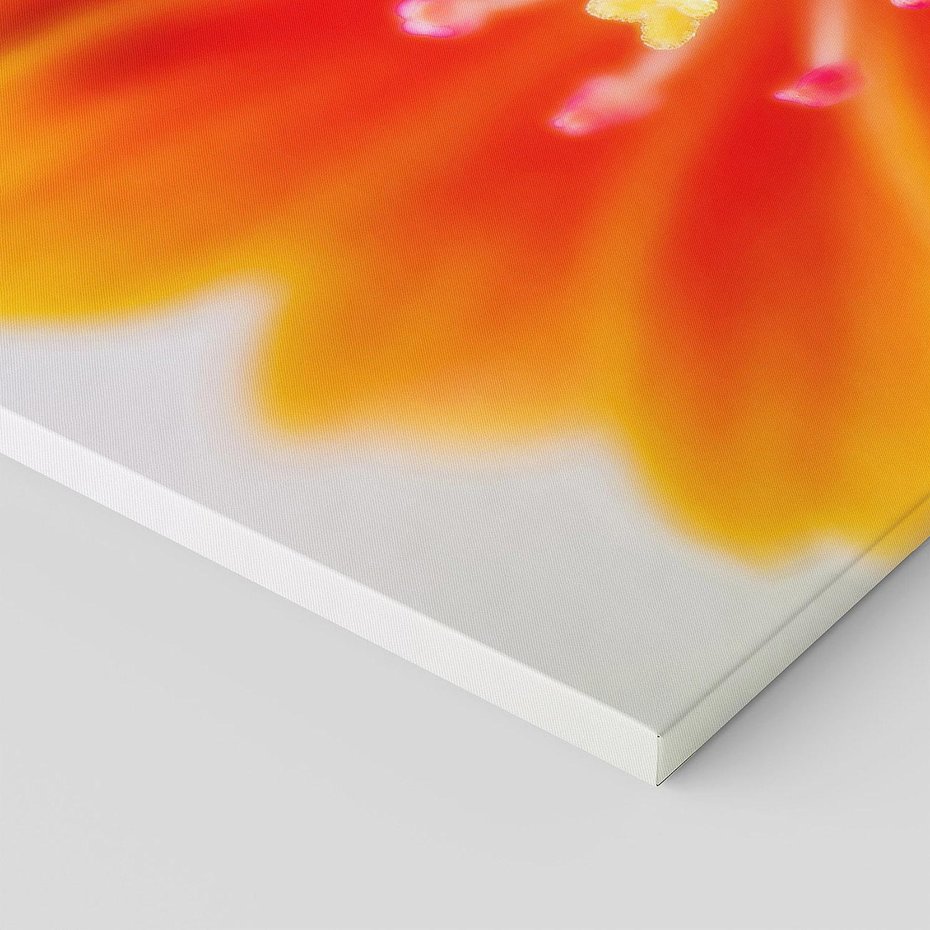 Obraz na płótnie 150x50 - Urok kwiatów - kwiat, kwiaty