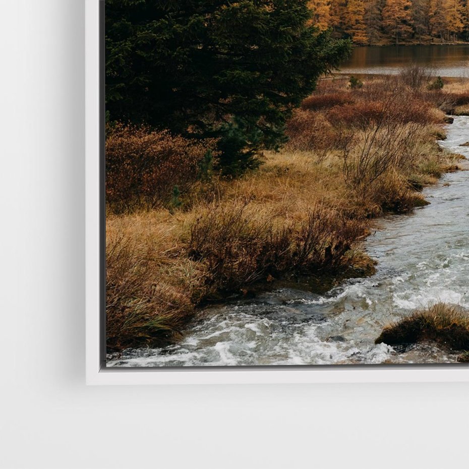 Obraz w ramie 50x50 - W Górskiej Dolinie - artystyczna fotografia, las - rama biała