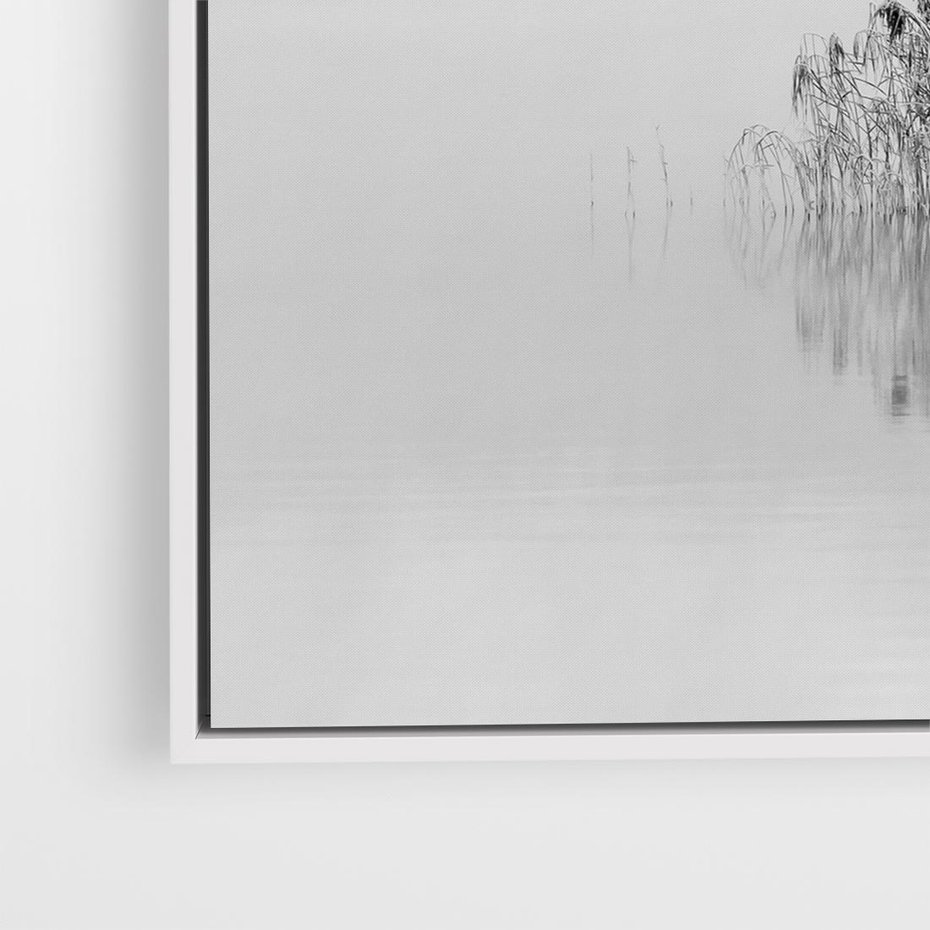 Obraz w ramie 50x50 - Mglisty Brzeg Jeziora - czarno białe zdjęcie, zamglone jezioro - rama biała