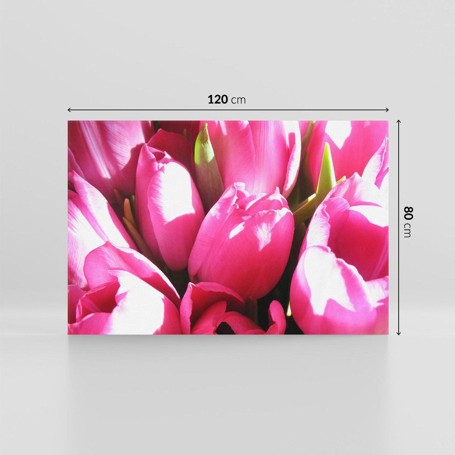 Obraz na płótnie 120x80 - Tulipany w pejzażu - tulipany, kwiaty