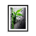 Plakat w ramie 30x40 - Bambusowa Harmonia - bambus, liście - rama czarna