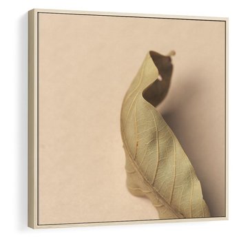 Obraz w ramie 50x50 - Boho suszone liście - suszony, liść - rama drewno