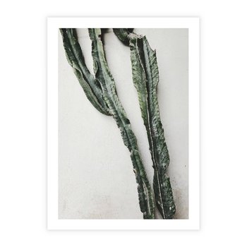 Plakat bez ramy 21x30 - Zielona Roślina z Liśćmi - zielona roślina, liście