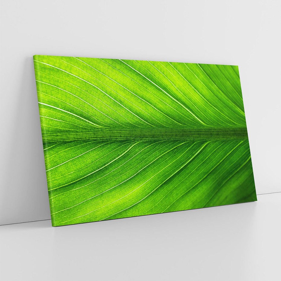 Obraz na płótnie 70x50 - Abstrakcja: interpretacje w liściach - liść, abstrakcja