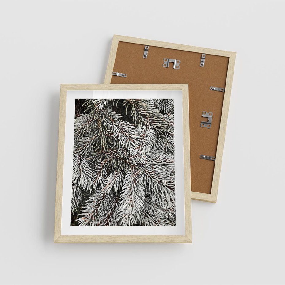 Plakat w ramie 40x50 - Cisza Zimowej Natury - zima, iglaste gałązki - rama drewno