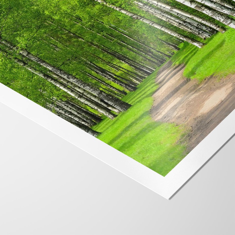 Plakat bez ramy 50x70 - Spacer Ścieżką w Urokliwym Lesie - las, ścieżka