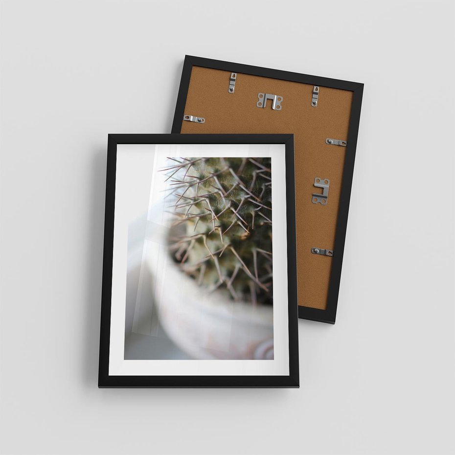 Plakat w ramie 30x40 - Kaktus w Zbliżeniu - kaktus, igły - rama czarna