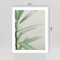 Plakat bez ramy 40x50 - Minimalistyczna Tropikalna Harmonia - tropikalna roślina, zielone liście