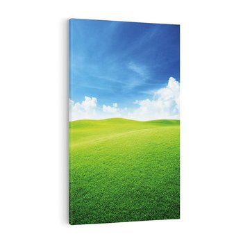 Obraz na płótnie 80x120 - Łąka pod Niebem - łąka, niebo