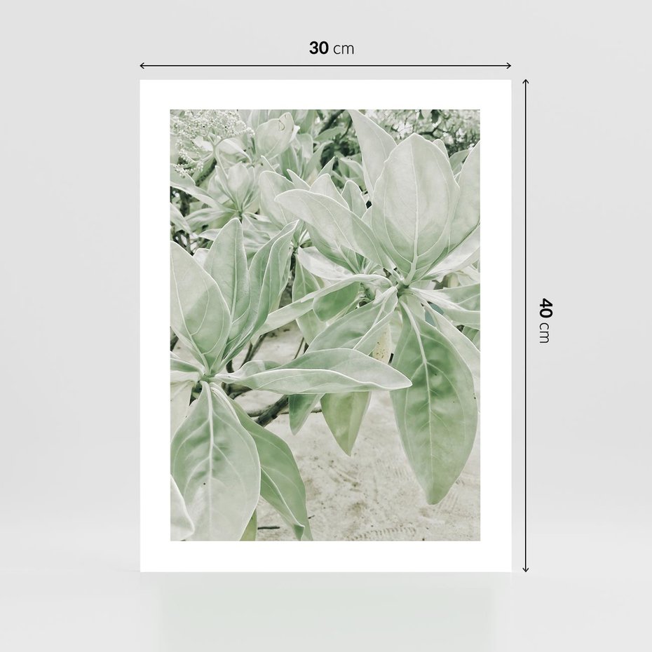 Plakat bez ramy 30x40 - Jasnozielone Liście w Kompozycji - liście, jasna zieleń