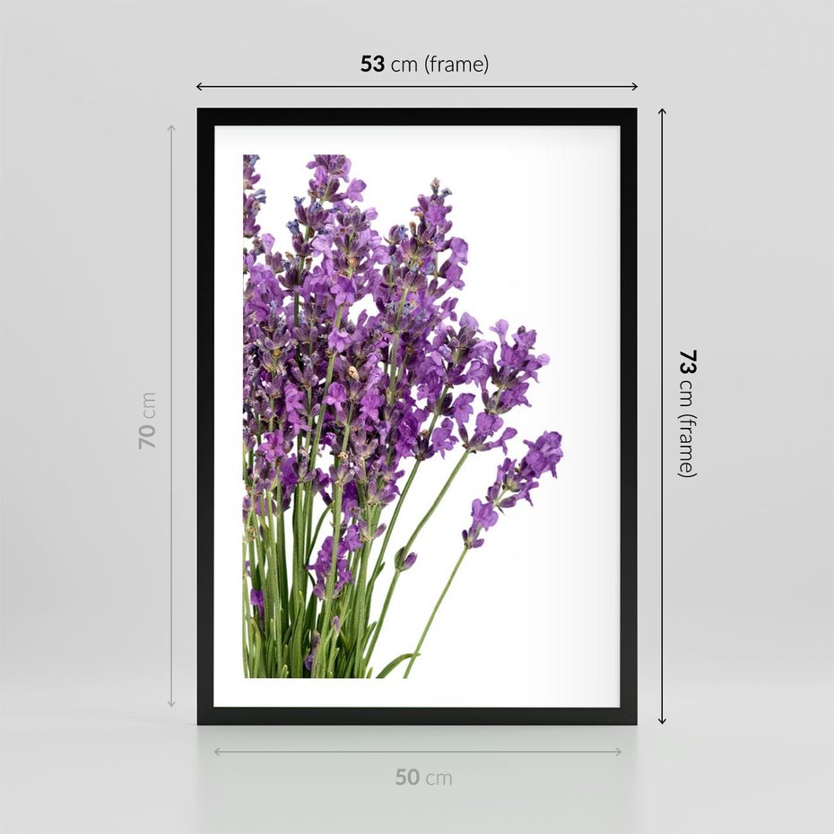 Plakat w ramie 50x70 - Pola lawendy w pełnym rozkwicie - lawenda, kwiaty - rama czarna