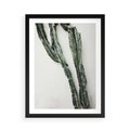 Plakat w ramie 50x70 - Zielona Roślina z Liśćmi - zielona roślina, liście - rama czarna