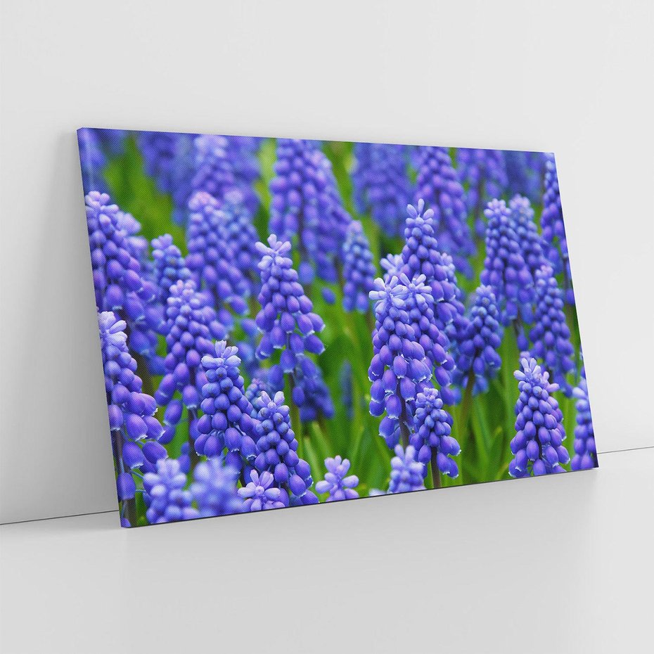 Obraz na płótnie 120x80 - Urok Lawendy - lawenda, kwiat