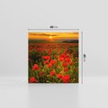 Obraz na płótnie 60x60 - Maki przy zachodzie słońca - maki, zachód