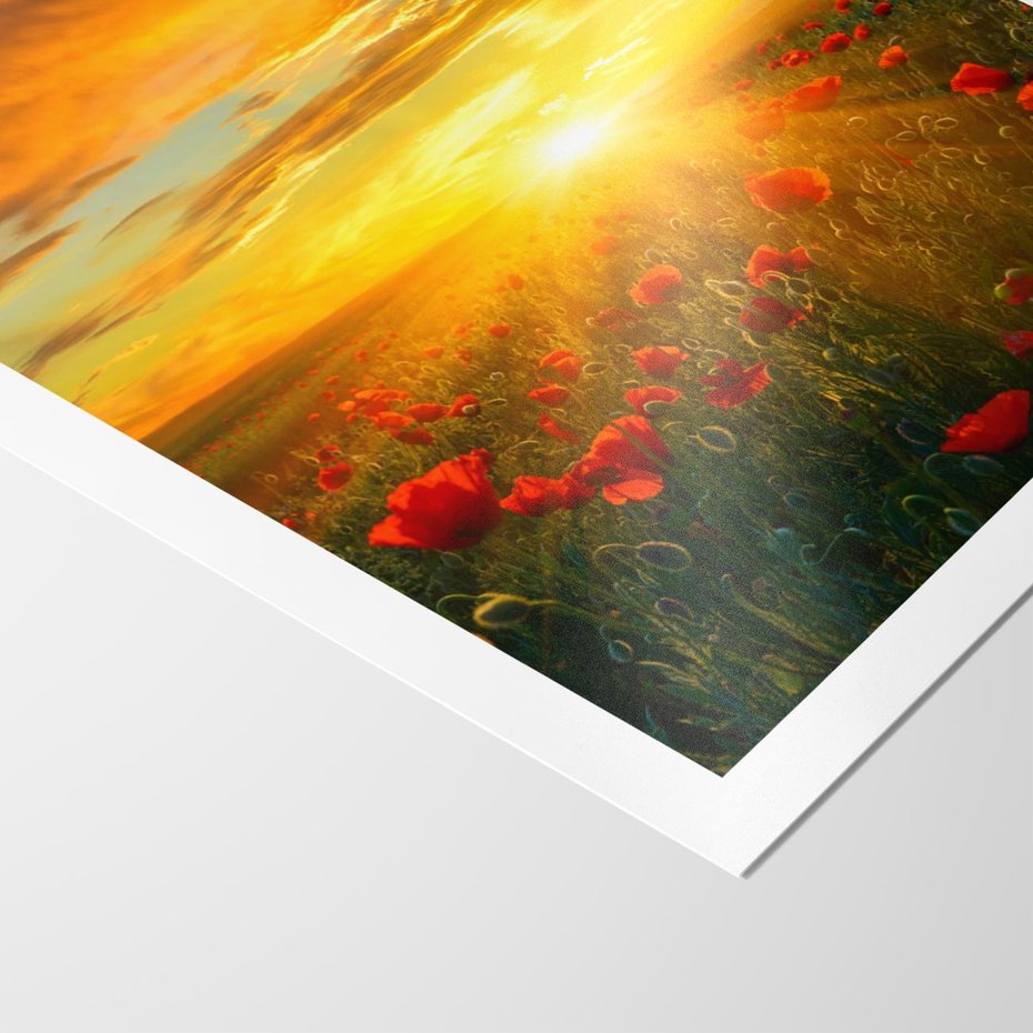 Plakat bez ramy 40x50 - Magia zachodu słońca na łące z makami - łąka, zachód słońca