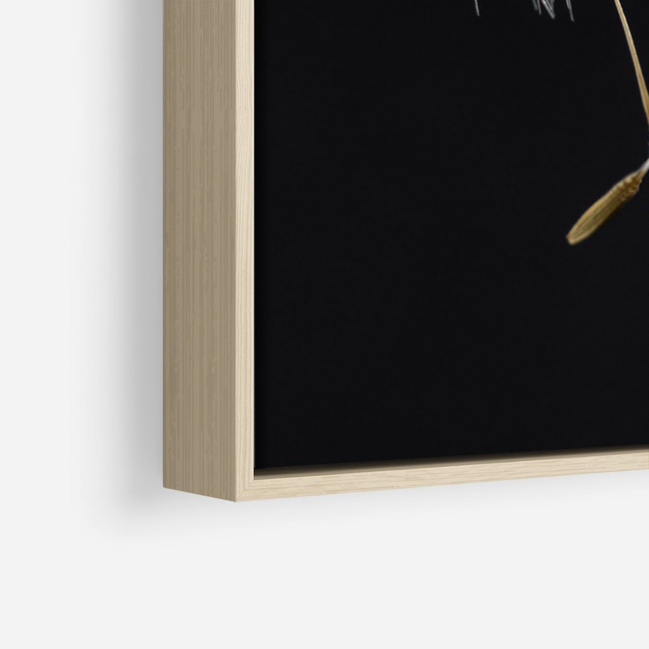 Obraz w ramie 50x70 - Delikatność Wiatru - dmuchawce, makro - rama drewno