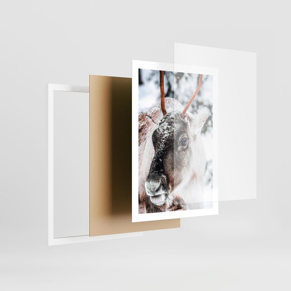 Plakat w ramie 50x70 - Renifer w Zimowej Krainie - renifer, zima - rama biała
