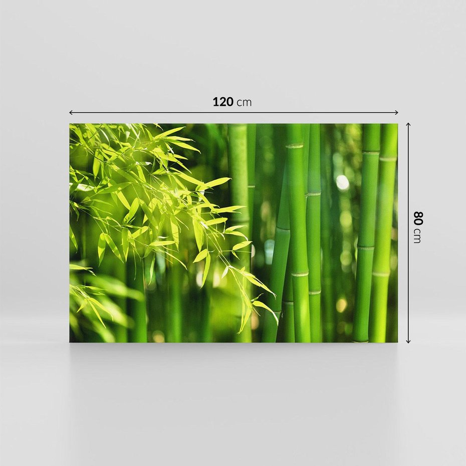 Obraz na płótnie 120x80 - Spokój bambusowego lasu SPA - bambus, drzewa