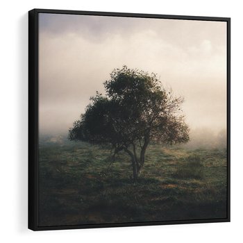 Obraz w ramie 50x50 - Zamglona Prostota - artystyczna fotografia, samotne drzewo na zamglonej łące - rama czarna